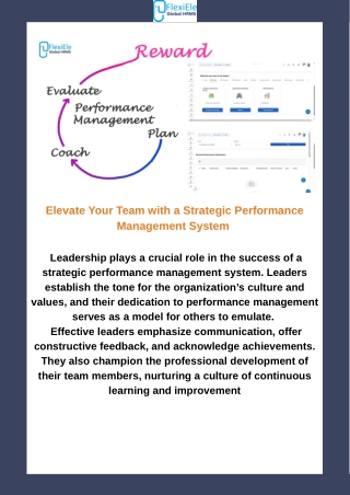 Elevate Your Team with a Strategic Performance Management System