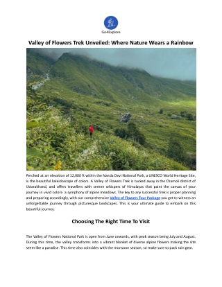 Valley of Flowers Trek Unveiled: Where Nature Wears a Rainbow
