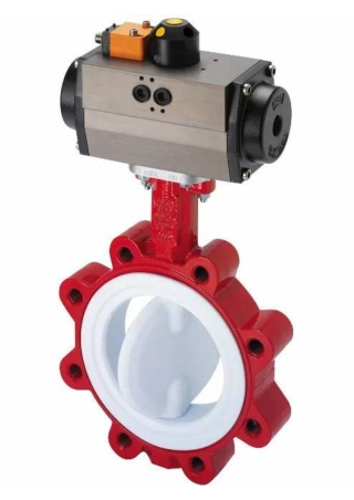 Van bướm lót PTFE