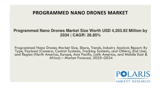 Programmed Nano Drones Market