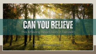 Can You Believe This Resort Exists in Dandeli?