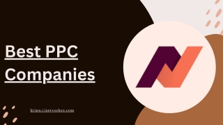 Best PPC Companies | Netvorker