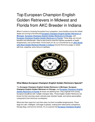 Top European Champion English Golden Retrievers in Midwest and Florida from AKC Breeder in Indiana