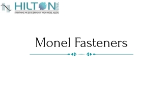 Monel Fasteners