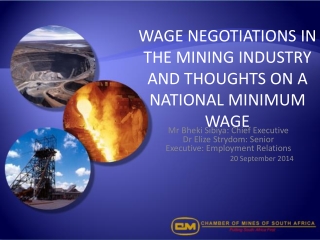 WAGE NEGOTIATIONS IN THE MINING INDUSTRY AND THOUGHTS ON A NATIONAL MINIMUM WAGE