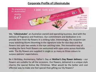 Corporate Profile of Lilies in a Tube