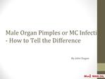 Male Organ Pimples or MC Infection