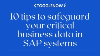 10 tips to safeguard your critical business data in SAP systems