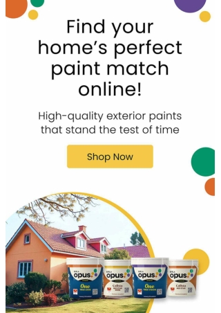 Durable and Stylish Exterior Paints - Birla Opus Paints