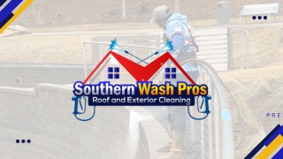Southern Wash Pros