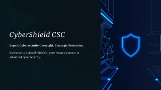 Comprehensive Cybersecurity with CyberShield's vCISO Services
