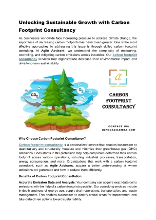 Unlocking Sustainable Growth with Carbon Footprint Consultancy