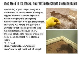 Stop Mold in Its Tracks: Your Ultimate Carpet Cleaning Guide