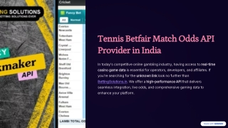 Best Casino Games API Provider in India