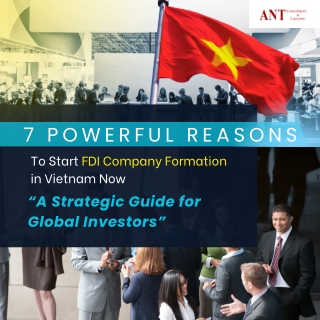 7 Powerful Reasons to Start FDI Company Formation in Vietnam Now