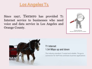 T1 Service Los Angeles