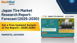Japan Tire Market Share, Size and Future Projections 2024-30