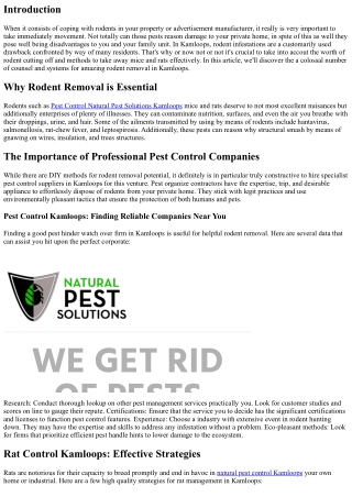 Rodent Removal Kamloops: Getting Rid of Mice and Rats Safely