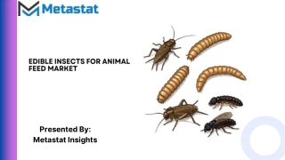 Edible Insects for Animal Feed Market Size & Share, Analysis 2031
