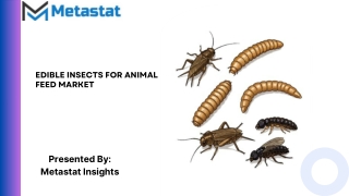 Edible Insects for Animal Feed Market Size & Share, Analysis 2031