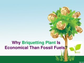 Why Briquetting Plant Is Economical Than Fossil Fuels?