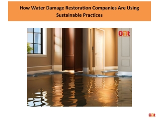 How Water Damage Restoration Companies Are Using Sustainable Practices
