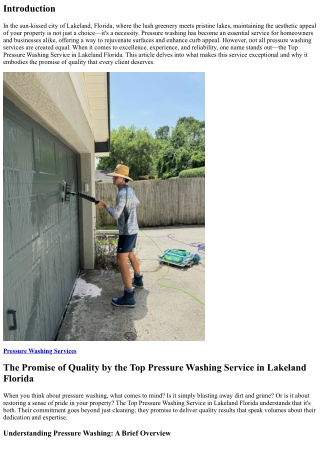 The Promise of Quality by the Top Pressure Washing Service in Lakeland Florida
