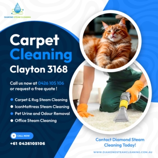 Carpet Cleaning ⁠Clayton 3168