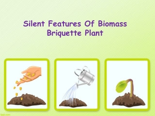 Silent Features Of Biomass Briquette Plant