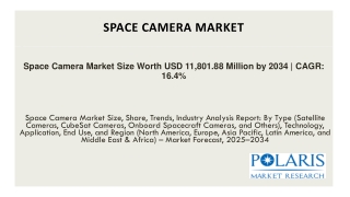 Space Camera Market