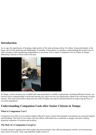 Buddy Look After Elders in Tampa: Enhancing Lifestyle in the house