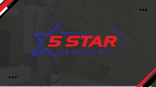 Comprehensive Mold Solutions | Professional Remediation & Testing Services