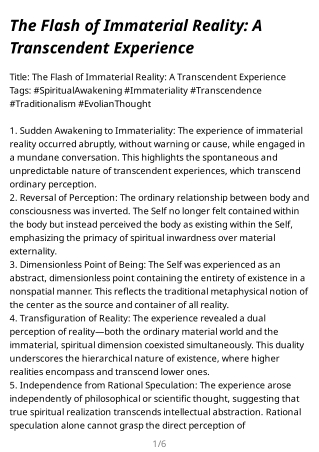 The_Flash_of_Immaterial_Reality_A_Transcendent_Experience