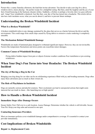 When Your Dog’s Fun Turns into Your Headache: The Broken Windshield Incident