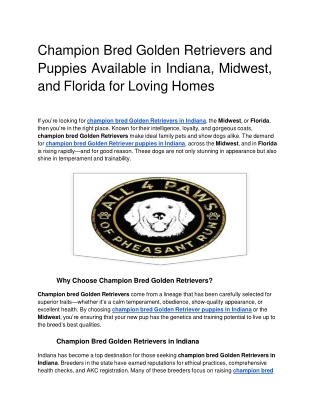 Champion Bred Golden Retrievers and Puppies Available in Indiana, Midwest, and Florida for Loving Homes