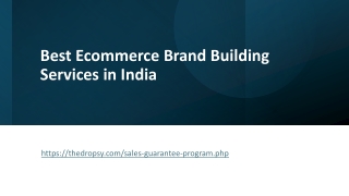 Best Ecommerce Brand Building Services in India