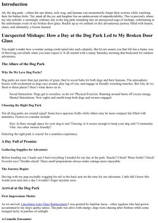 Unexpected Mishaps: How a Day at the Dog Park Led to My Broken Door Glass