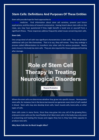 Stem Cells Definitions And Purposes Of These Entities