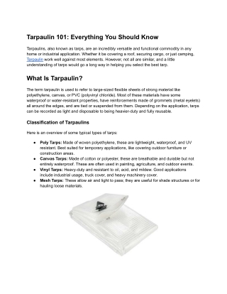 Everything You Should Know