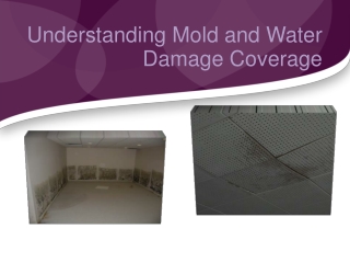 Understanding Mold and Water Damage Coverage