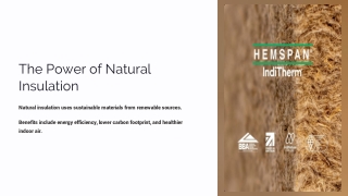 Best Natural Insulation Materials