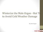 Winterize the Male Organ - Hot Tips to Avoid Cold Weather