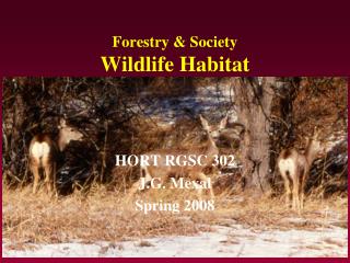 Forestry & Society Wildlife Habitat