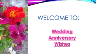Wedding Anniversary Wishes for Couples
