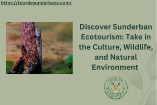 Discover Sunderban Ecotourism Take in the Culture, Wildlife, and Natural Environment