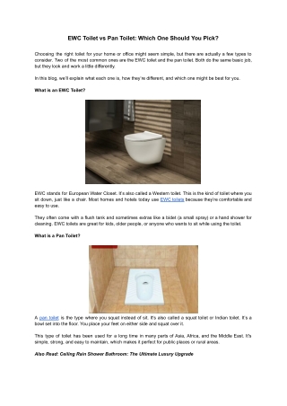 EWC Toilet vs Pan Toilet_ Which One Should You Pick