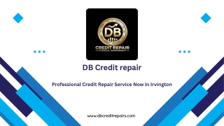 Professional Credit Repair Service Now in Irvington