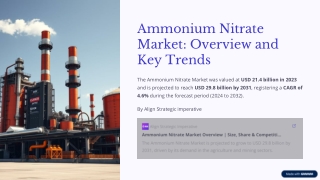 Ammonium Nitrate Market Set to Reach USD 29.8 Billion by 2031: Key Trends