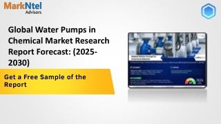 Water Pumps in Chemical Market Study: Players, Share, Size,Trends 2030