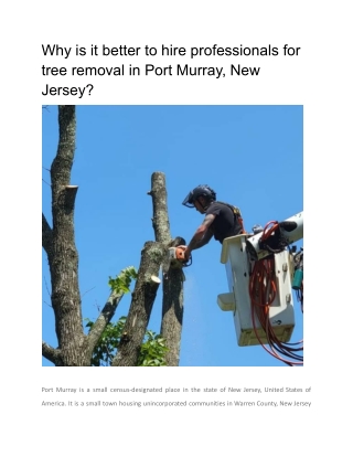 Why is it better to hire professionals for tree removal in Port Murray, New Jersey